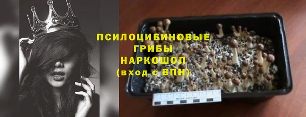 СК Абинск