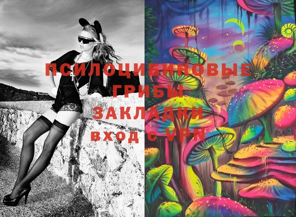 марки lsd Абаза