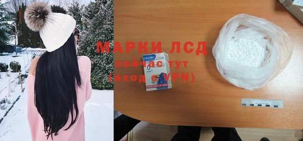 СК Абинск