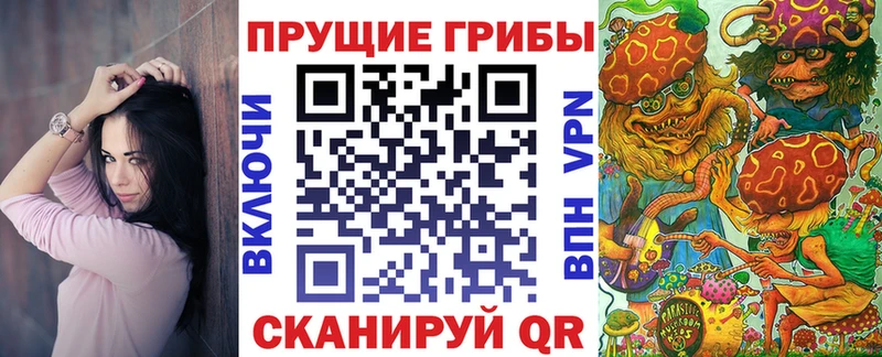 дарнет шоп  Балаково  Псилоцибиновые грибы Psilocybe 